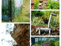 -福田红树林生态公园