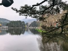-庐山风景区花径公园
