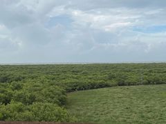 -北海金海湾红树林生态旅游区