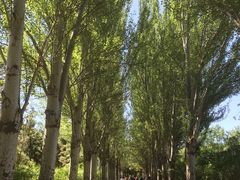 -青城公园