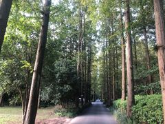 -上海怡沁园度假酒店