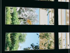 -糟粕醋·椰苑海南菜餐厅(亚龙湾天域酒店)