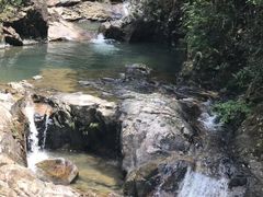 -九龙江国家森林公园