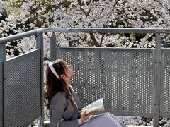 -IKEA宜家家居(南京商场)