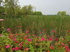 -永定河休闲森林公园