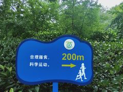 -西安市长乐公园