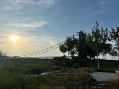 -西青郊野公园