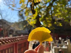 -潭柘寺景区