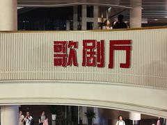 -合肥大剧院