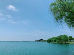 -漕湖湿地公园