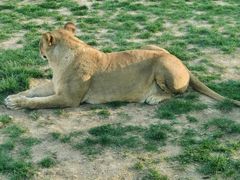 -北京野生动物园