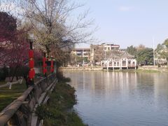 -温江公园