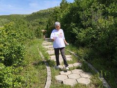 -铜川市金锁关石林