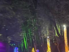 -枫花园汽车电影院(朝阳公园店)