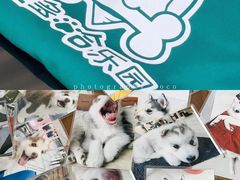 -星多哈·狗咖·拼豆·咖啡