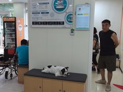 -美联众合动物医院·24h京西诊疗中心
