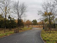 -东郊湿地公园