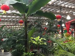 -兴芮温泉度假区