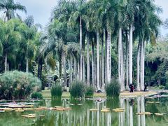 -中国科学院西双版纳热带植物园