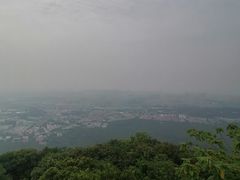 -紫金山山顶公园