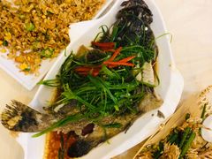 清蒸石斑鱼-桥东喜碧海鲜街(水东街店)
