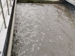 -贡湖湾湿地公园