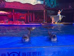 -大连圣亚海洋世界