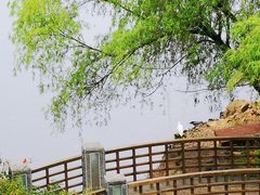 -宁波九龙湖开元度假村
