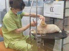 -芭比堂动物医院·犬猫全科·异宠专科(雁塔分院)