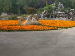 -祥源·阜阳生态乐园