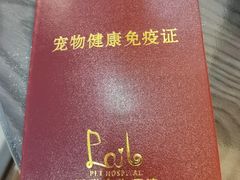 -派联宠物医院·24h·CT·异宠