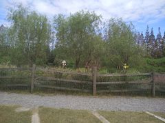 -前小桔亲子创意农场·草莓采摘·露营烧烤