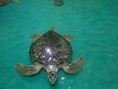 -泉城欧乐堡海洋极地世界