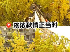 -奎星楼街