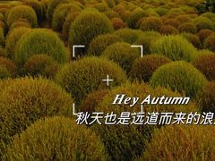 -花开海上生态园