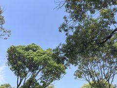 -东钱湖旅游度假区