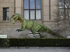 -国家自然博物馆