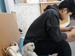 -联合动物医院(光谷诊疗中心)