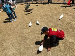 -大青山野生动物园
