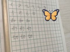 -赵汝飞练字硬笔书法(静安大融城校区)