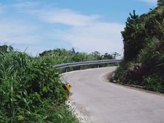 -东极岛景区
