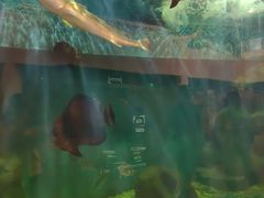 -上海长江河口科技馆