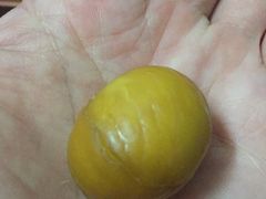 -陈记栗子(长宁路店)