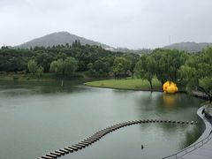 -上海佘山世茂艾美酒店