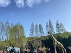 -棒棰岛宾馆景区