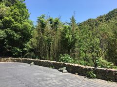-宁海安岚·南溪阁全日餐厅