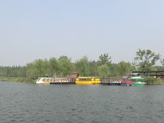 -上海长兴岛郊野公园