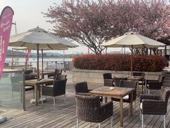 -望海·帆船主题咖啡厅•品茗下午茶(石湖景区店)