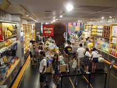 -line friends(明洞旗舰店)