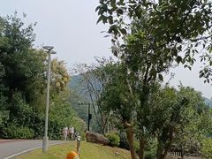 -桃花岭景区